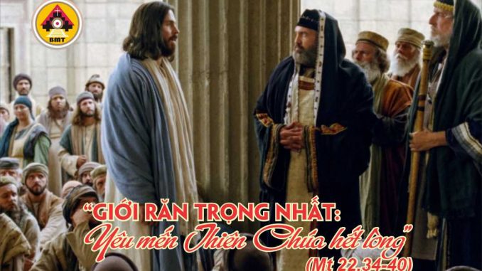 cn28-tna